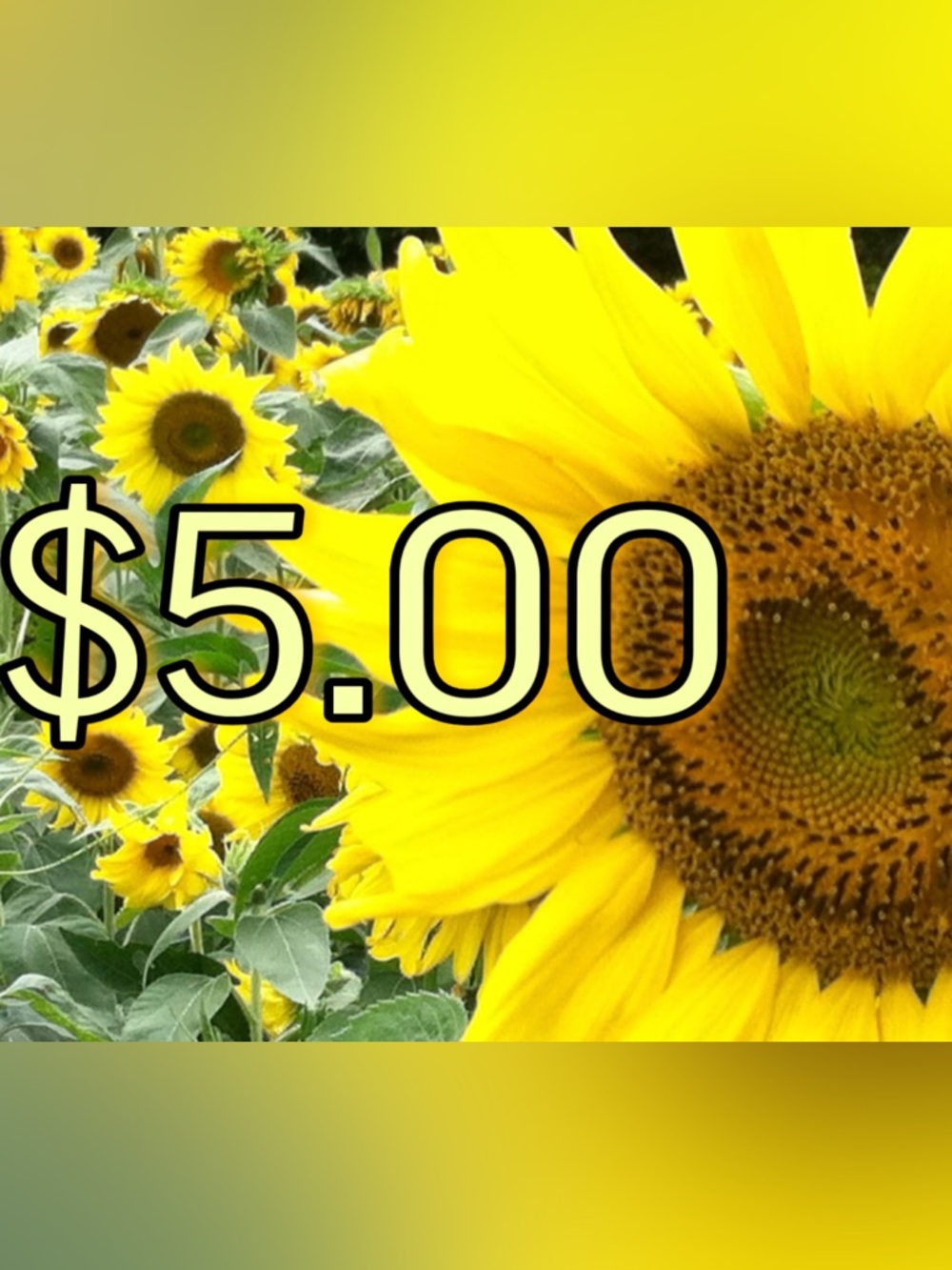 Listing for Live Show Only. $5.00 Sale Listing